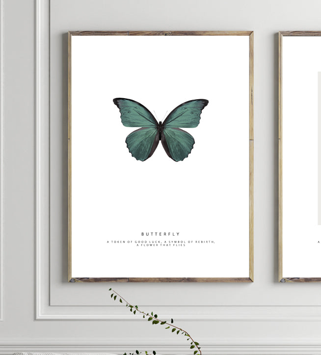 BUTTERFLY - EMERALD