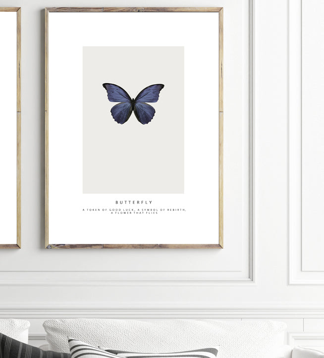 BUTTERFLY - AZURE