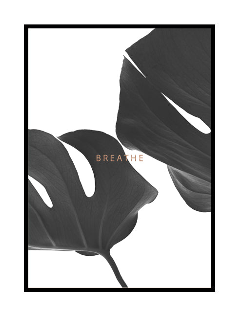 MONSTERA BREATHE