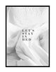 LET'S STAY IN BED DUVET