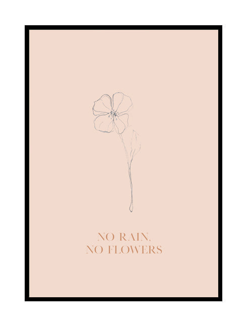 NO RAIN NO FLOWERS