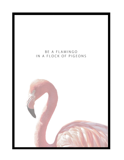 Be A Flamingo
