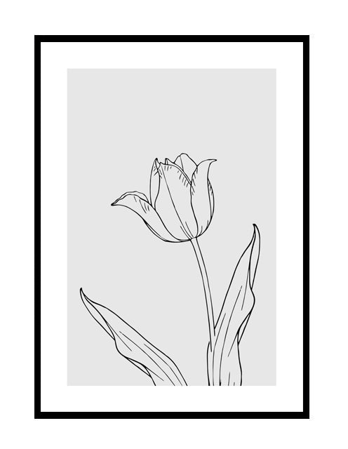 TULIP