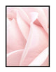 Pink Petals Part 2