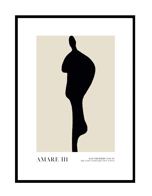 AMARE III
