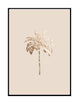 Golden Palm