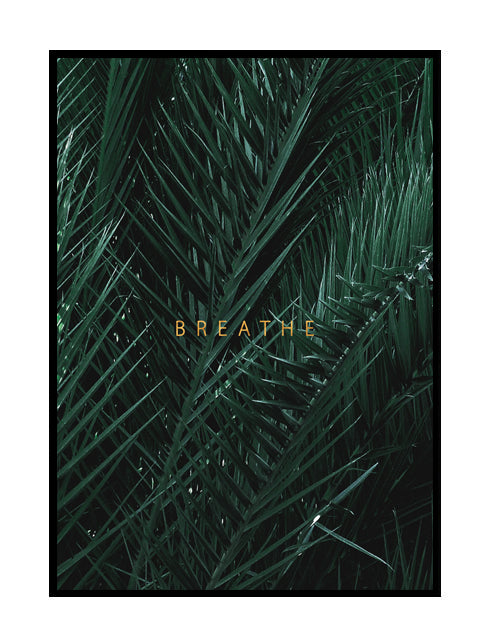 BREATHE AMAZON