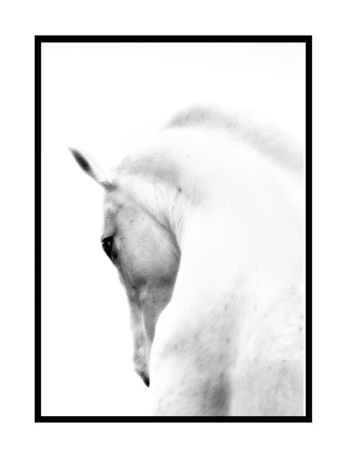 White Horse