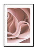 Rose Petals Part 2
