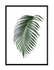 Pinnate Part 2
