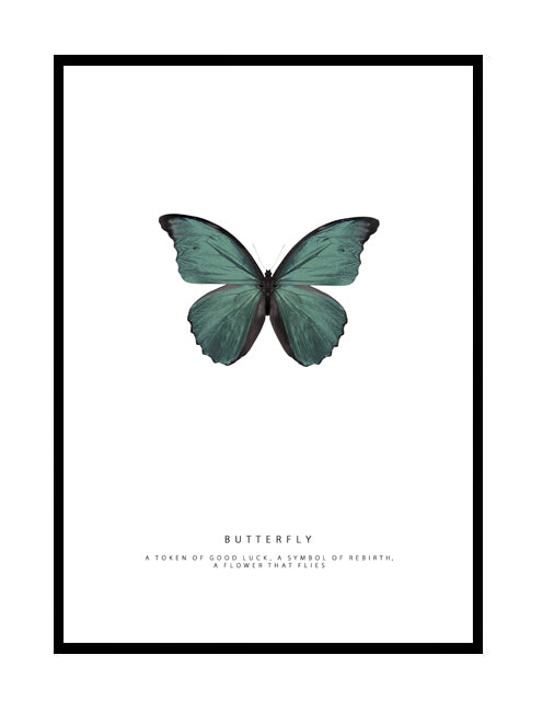 BUTTERFLY - EMERALD