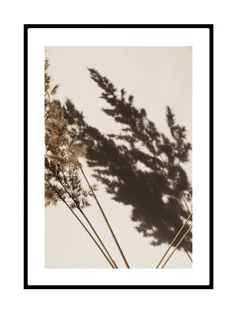 premium wall print wall art pampas shadow natural neutral