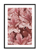 CORAL FLOWERS