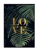 WILD LOVE