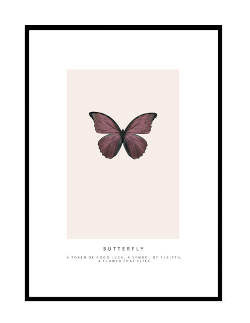 BUTTERFLY - ROUGE