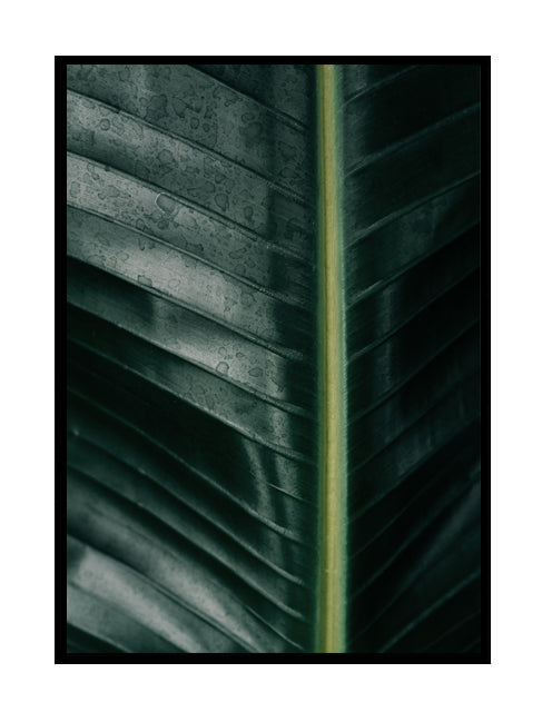 BANANA LEAF ZOOM
