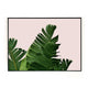 PLANT ON PINK