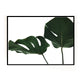 GREEN MONSTERA