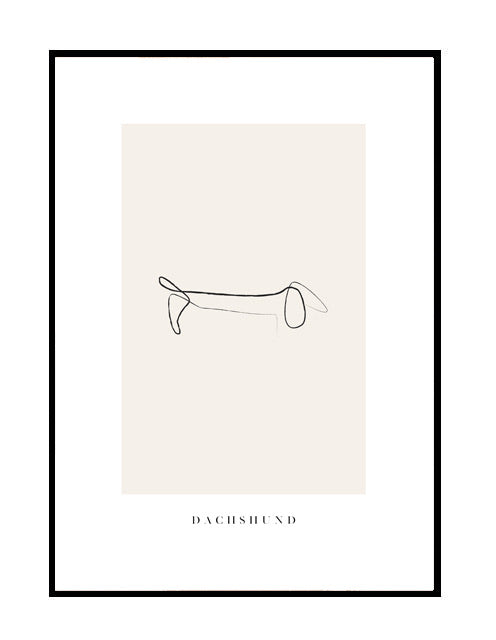 Dachshund